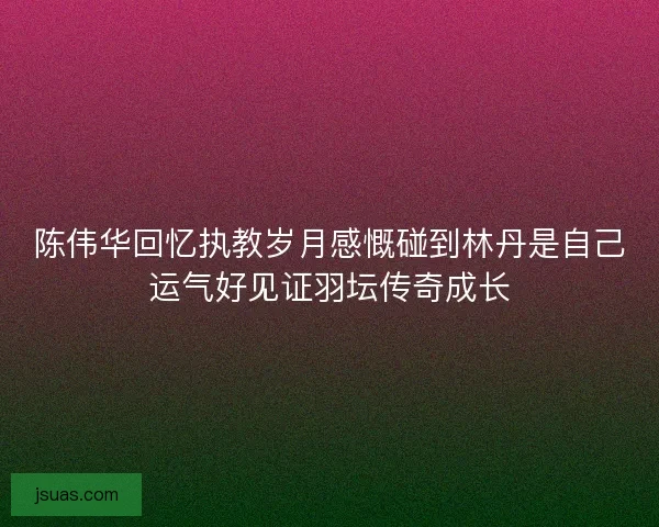陈伟华回忆执教岁月感慨碰到林丹是自己运气好见证羽坛传奇成长
